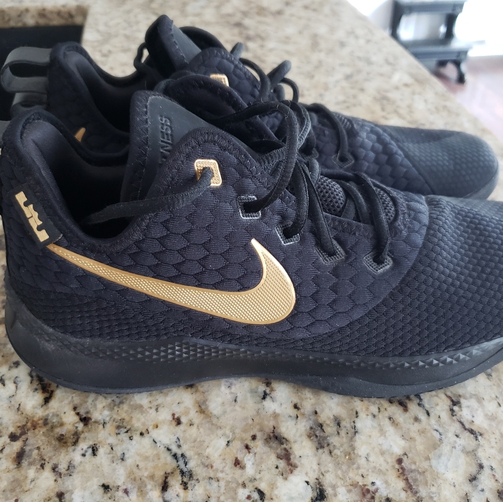 Nike Lebron Witness III